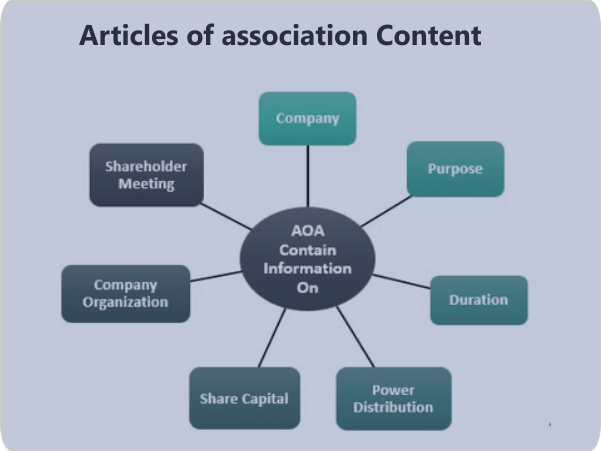 Articles of association Content